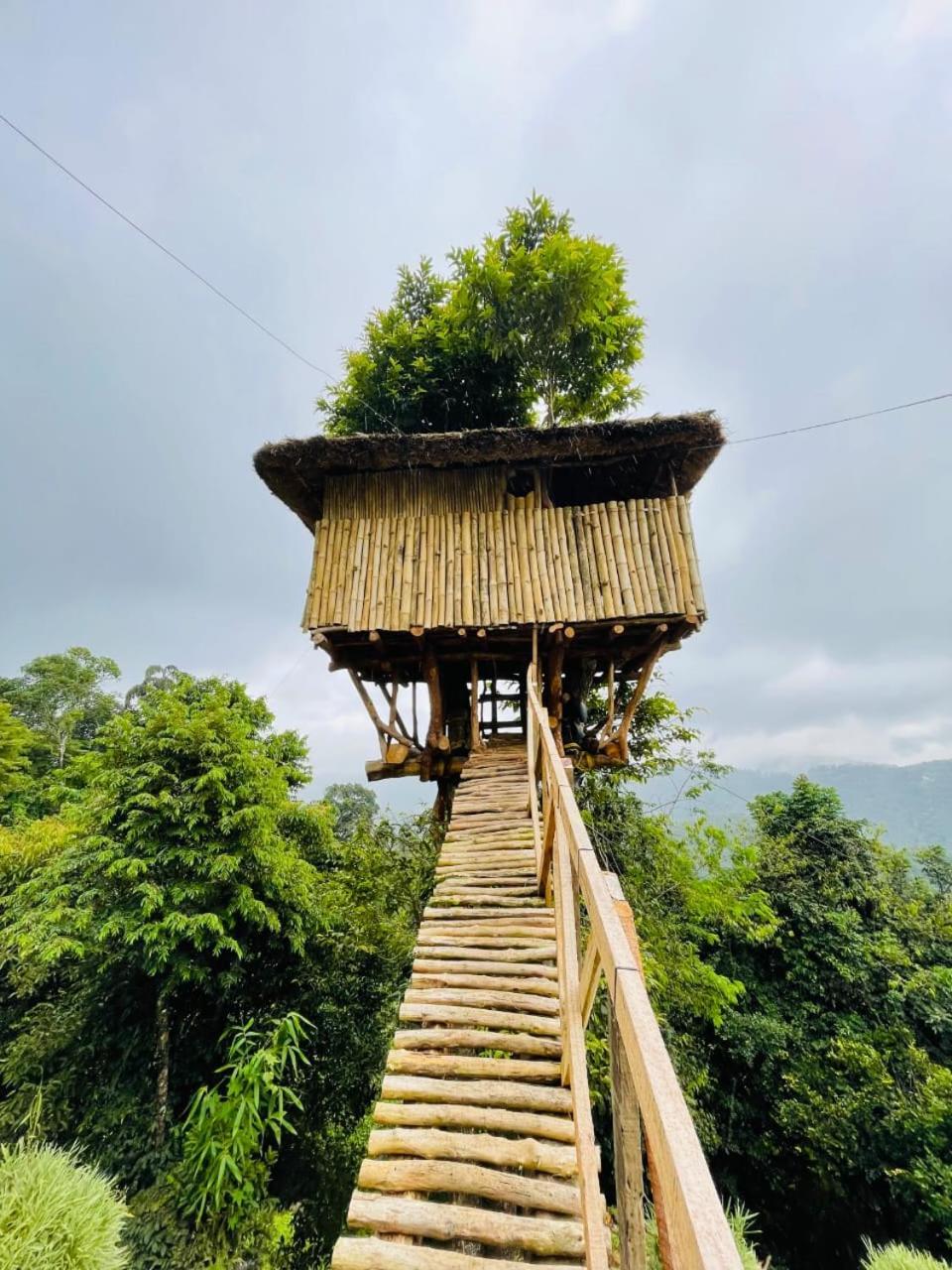 Palkulam Heights Villa Kumudi Kültér fotó